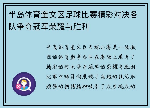 半岛体育奎文区足球比赛精彩对决各队争夺冠军荣耀与胜利